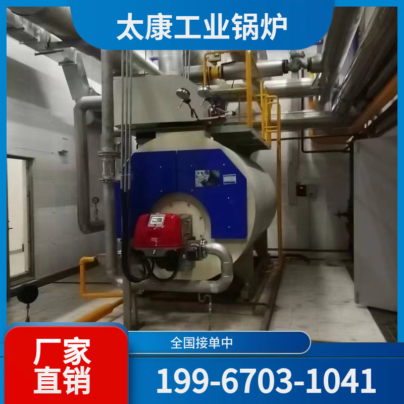 上海燃气蒸汽锅炉